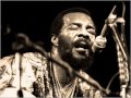 Richie Havens ''In My Life''