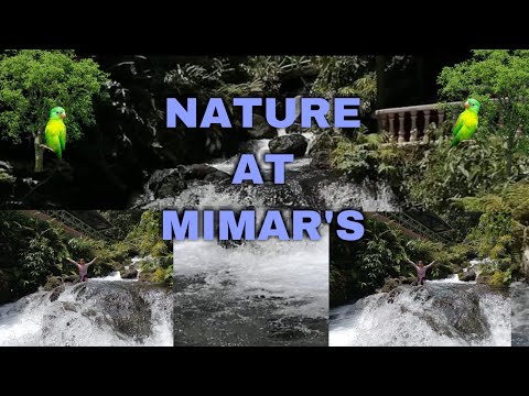 NATURE AT MIMARS | Keziah GRACE  Vlog #47