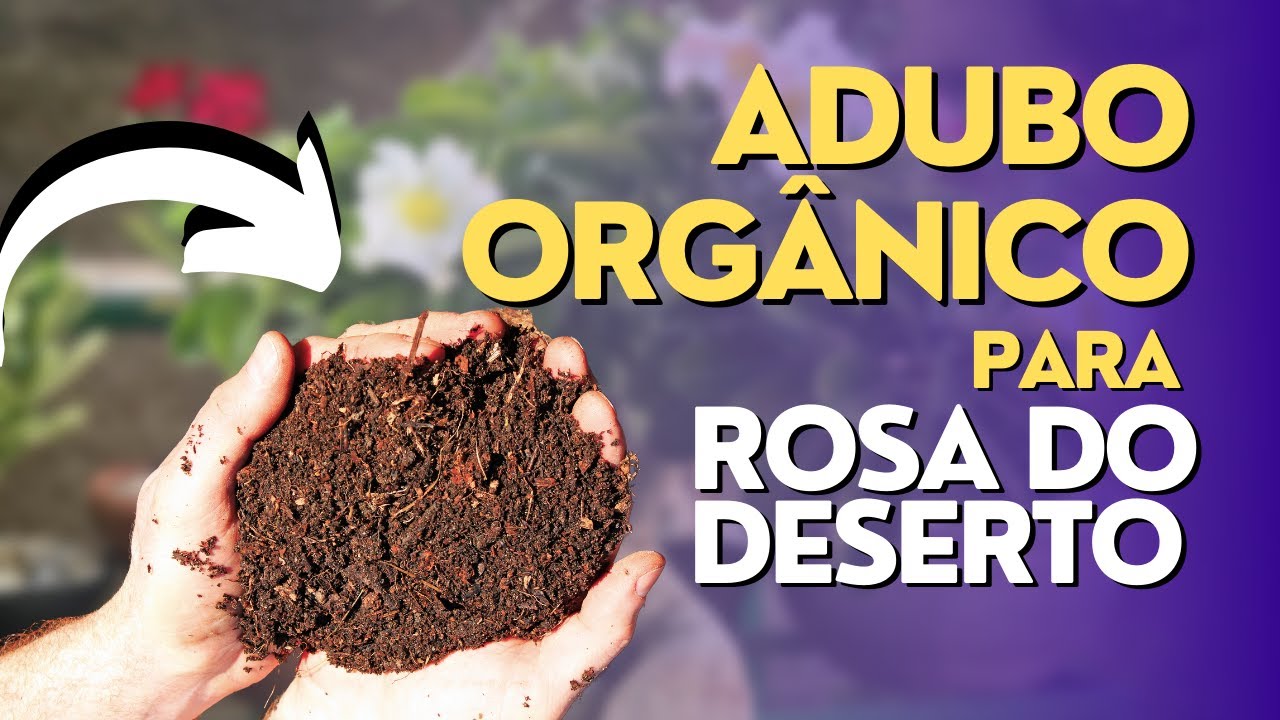 ADUBOS CASEIROS para Rosas do Deserto!