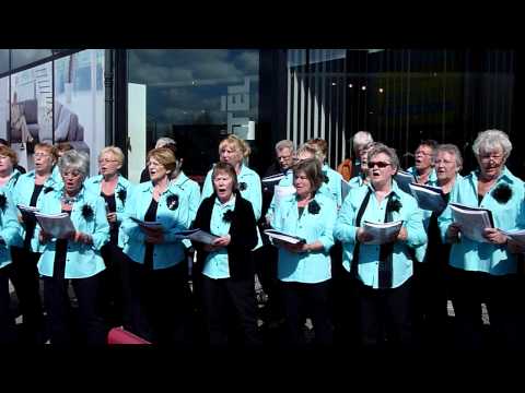 100410-Smartlappenkoor De Kleppers met Zeeman.mov