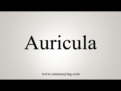 How To Say Auricula