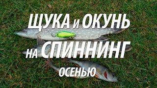 Ссылка