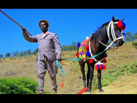 Dajanee Jaalataa - DHUGAA GARAAN BEEKU - Geerarsa - New Ethiopian Oromo Music /#4HachaluHundessa