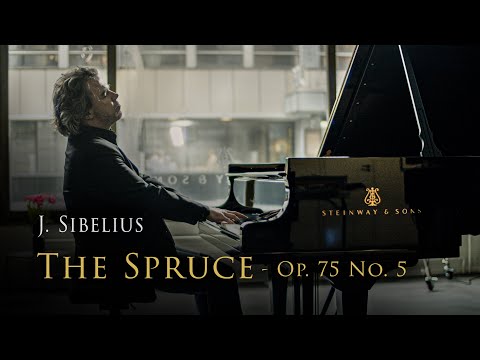 Jean Sibelius - The Spruce, Op. 75 No. 5 | Janne Mertanen, piano (BMPCC 4K Cinematic Music video)