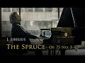 Jean Sibelius - The Spruce, Op. 75 No. 5 | Janne Mertanen, piano (BMPCC 4K Cinematic Music video)