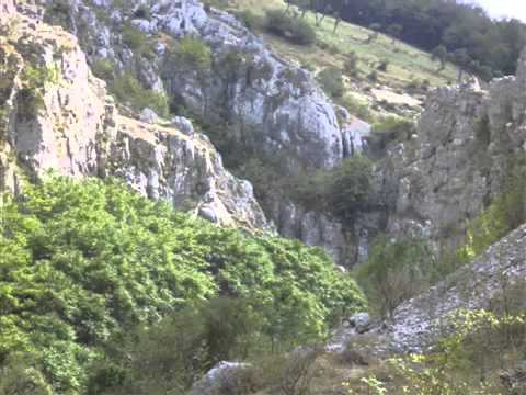 Lautarii din Babiciu -  Doina Oltului