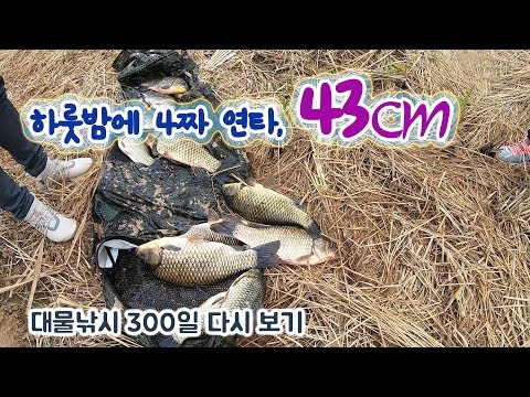 리뷰이미지