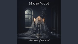 Nocturne of the Veil