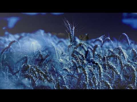 Stele from Daunia - Laudar voll'io per amore - Laudario Fiorentino