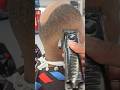 Fellas, come holla at ya boy! You dont have cut it all off, I gotcha!  #ThatBoyPassion #booksybarber