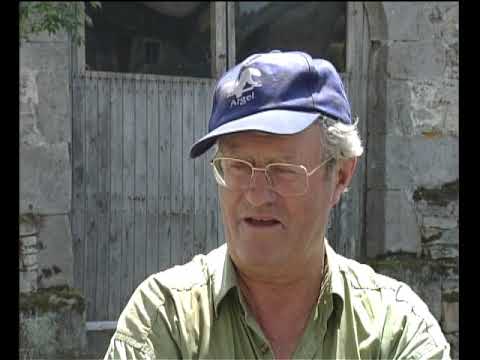 La remesa de Viaroja