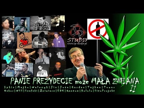 IP SKŁADAK - PANIE PREZYDENCIE może MAŁA ZMIANA (wersja 2014)