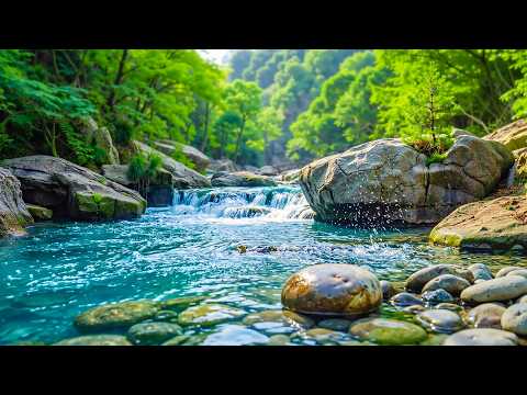 Rahatlatıcı müzik 🌿 Sakinleştirici ve iyileştirici müzikle stresi, kaygıyı ve depresyonu hafifletin