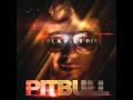 01 Pitbull feat. Vein - Mr. Worldwide (Intro)