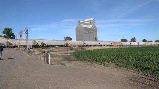 7 Union Pacific Diesels lead grain train past Cunningham Sheep @ Nolin, OR 6/17/15