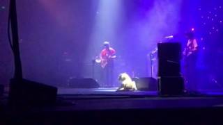 To Be Without You - Ryan Adams Live Melbourne 2017