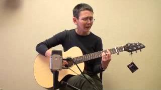 Video thumbnail for Breedlove Passport Travel Guitar Demo by MacNichol Guitars
