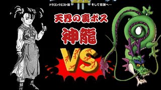 DQ3 神龍にタイマンを挑んでみたが