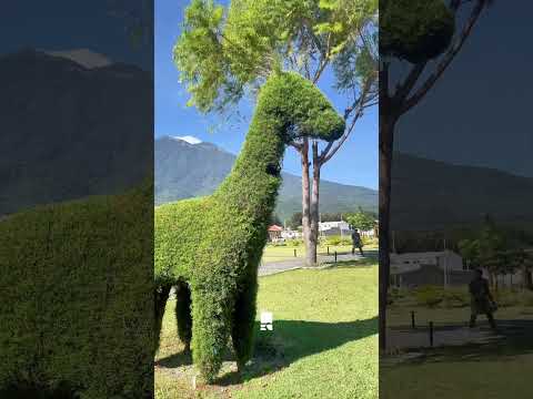 CONDOMINIO ANTIGUA ESTANCIA, SAN MIGUEL DUEÑAS SACATEPÉQUEZ. OPCIONES DE 3 Y 4 DORMITORIOS