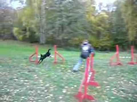 agility 23.10.2007 Nicoletta mit Nero