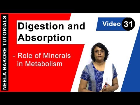 Digestion and Absorption - Role of Minerals in...