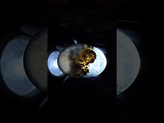 حجر عقيق مصور شجري طبيعي