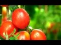 Quảng Cáo Dầu đậu Nành OTRAN Mới Nhất