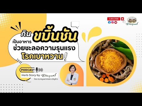 กินขมิ้นชันให้เป็นอาหาร ช่วยชะลอความรุนแรงของโรคเบาหวาน l Podcastอภัยภูเบศร (2023)