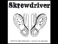 Skrewdriver Smash The I R A