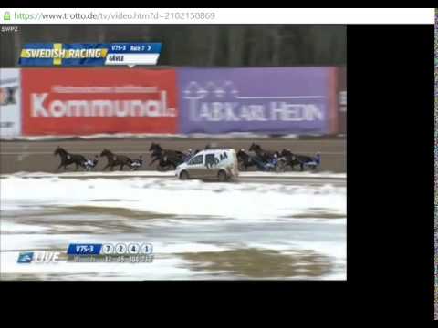 Digital Ink-Gävle Stora Pris-Gulddivisionen