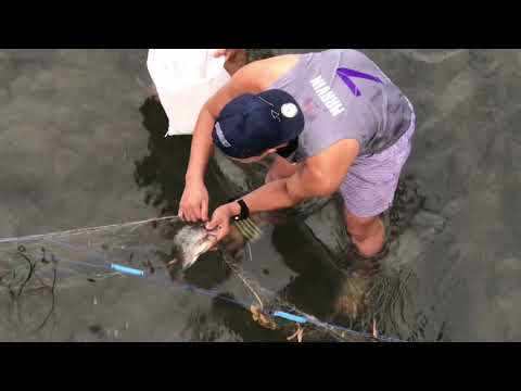 Palaisdaan ni Papeng part 2 | Fishing | River