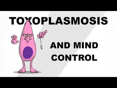 Toxoplasmosis and Mind Control - Plain and Simple