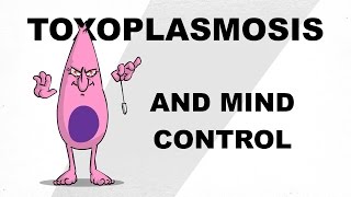 Toxoplasmosis and Mind Control - Plain and Simple