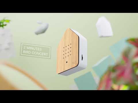 Birdybox Sound Machine