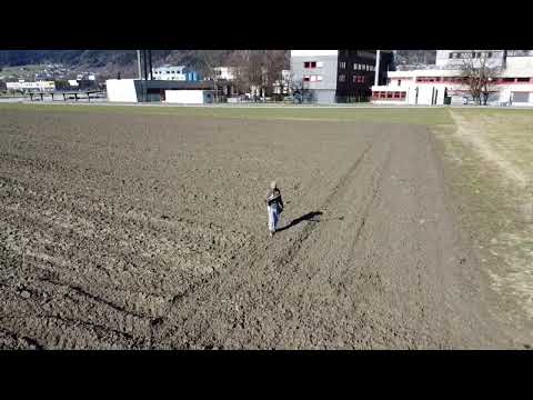 Kolejny piękny dzień 