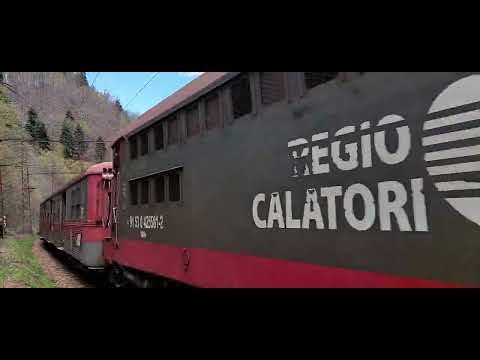 Regio Calatori Brașov București Nord