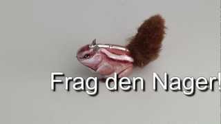 MT-Orakel Yogi tippt das Spiel Deutschland-Griechenland