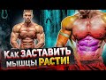 КАК заставить ваши МЫШЦЫ РАСТИ | Мнение науки.
