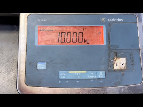 Quick DIY Calibration Of A Sartorius Midrics Scale