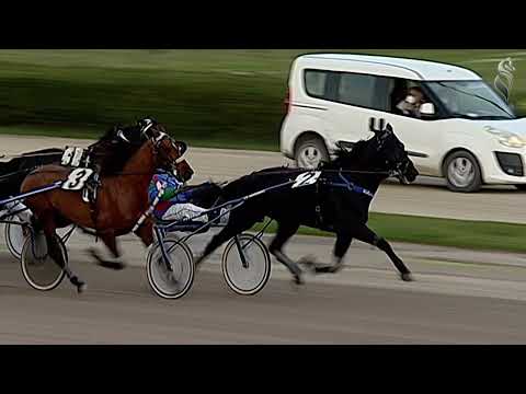 Aversa trotto 29 Dicembre 2021 - 3° Corsa