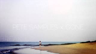 PETE SAMPLES x GONE