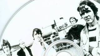dave clark five  you got what it takes  stereo