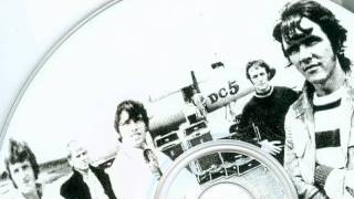 dave clark five  you got what it takes  stereo