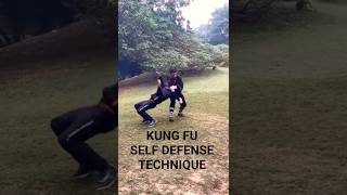 Tai Chi Fair Lady Works the Shuttles demonstration thumbnail
