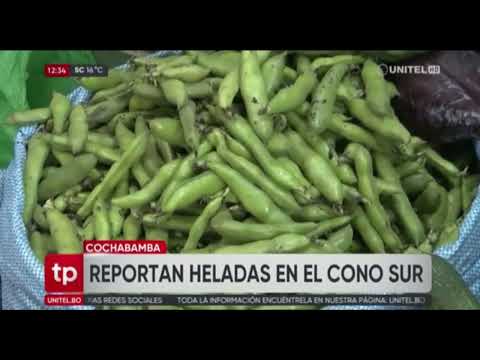 Reportan heladas en Cochabamba pero no afectan la producción de alimentos.