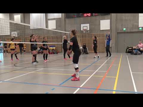 Tiikerit - SalSa 3.11.2019