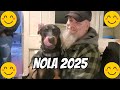 Doberman visits another restaurant in New Orleans - VaderTheDobie Doberman visits another restaurant in New Orleans