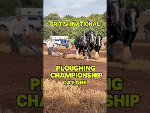 2024 British National Ploughing Championships