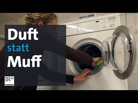 Stinkende Wäsche aus der Waschmaschine - was tun? | Abendschau | BR24