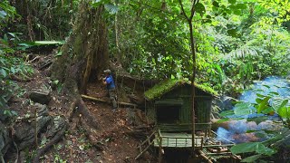 FULL VIDEO 300 days Survive in the rainforest. Build bushcraft shield, sleeping in the deep forest. MQDEFAULT Thumbnail